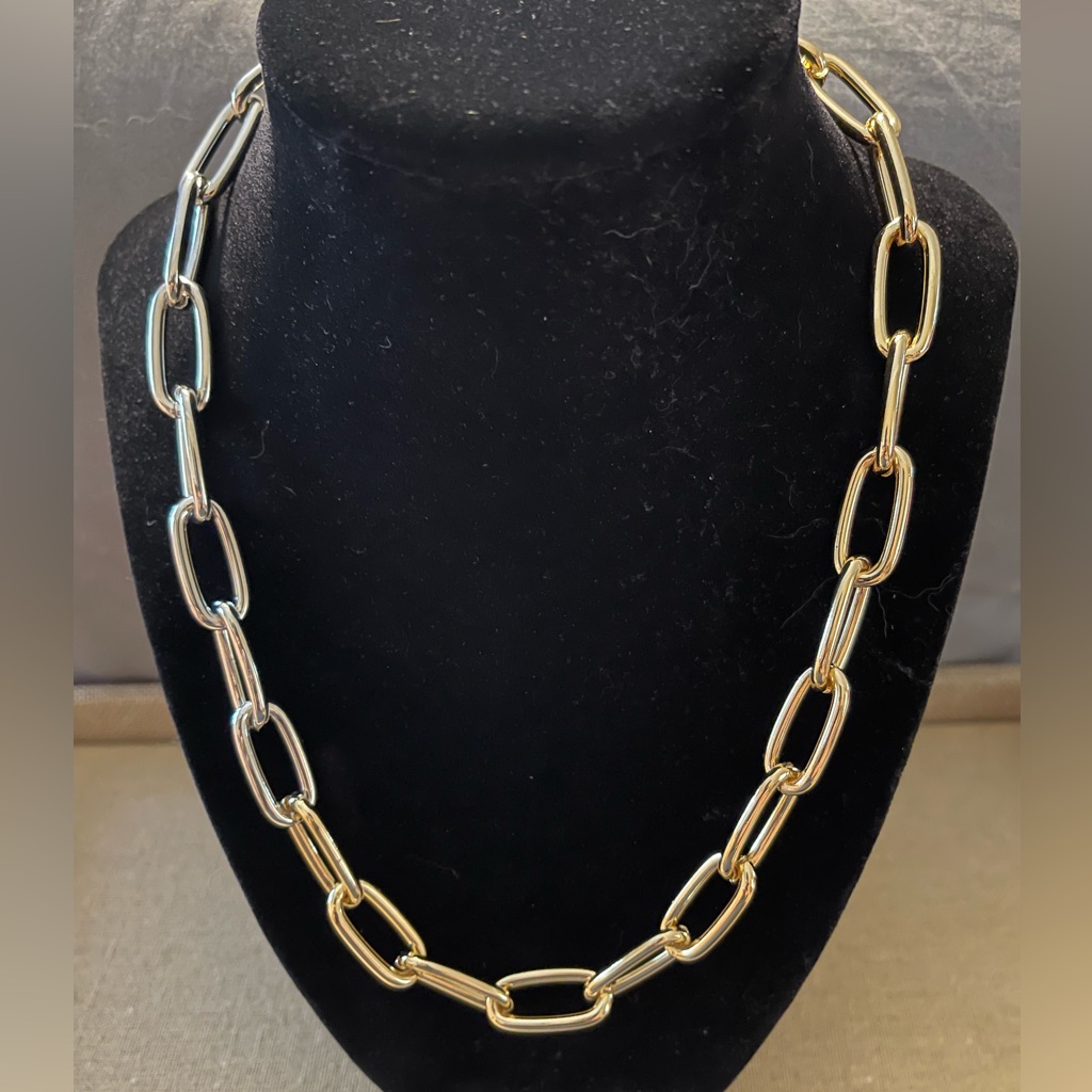 Nwt Natasha Brand Silver And Gold Link Necklace